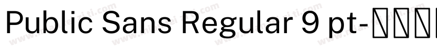 Public Sans Regular 9 pt字体转换